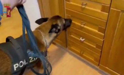 Traffico droga nel Centro-Sud, arresti tra Perugia, Salerno e Trapani