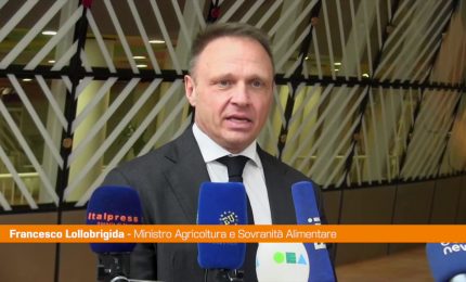 Vino, Lollobrigida "No a un'etichetta fuorviante sulla salute"