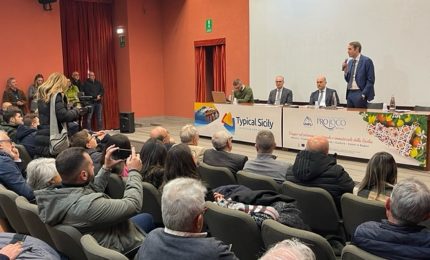 Typical Sicily, 43 Pro Loco per valorizzare patrimonio turistico Isola