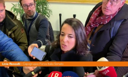 Carburanti, Ronzulli "Nessuna fibrillazione nella maggioranza"