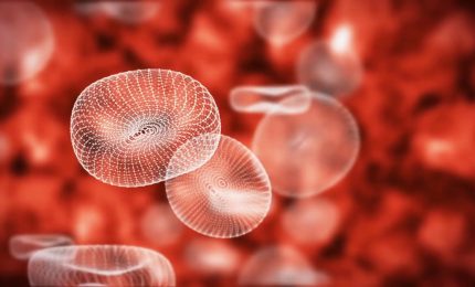 Raccolta di plasma in calo nel 2022