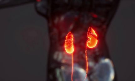 Malattia renale cronica, ne soffrono dieci italiani su cento