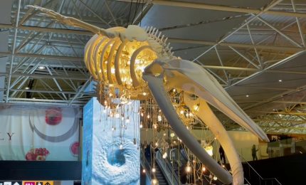 L'aeroporto di Fiumicino s'illumina con l'opera "Grande Anima"