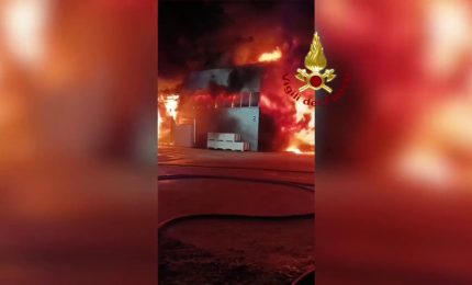 Rovigo, un incendio distrugge parte di una azienda ittica. Le immagini