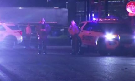 Un'altra strage negli Usa, spara e uccide 7 persone in California
