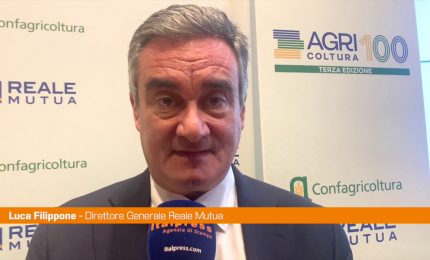 Reale Mutua, Filippone "Sostenibilit&agrave; centrale nel nostro modello"