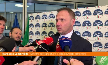 Lollobrigida "Non ci sono tensioni particolari nella maggioranza"