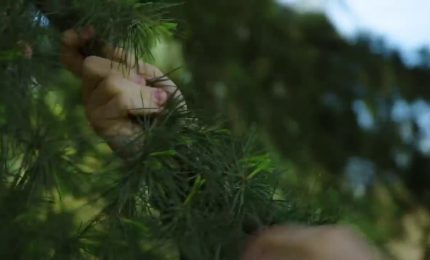 Per le nuove generazioni la protezione &egrave; un &ldquo;trend&rdquo; di cambiamento