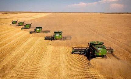 Sempre basso il prezzo del grano duro con il dubbio (fondato) che il grano canadese stia invadendo l'Italia
