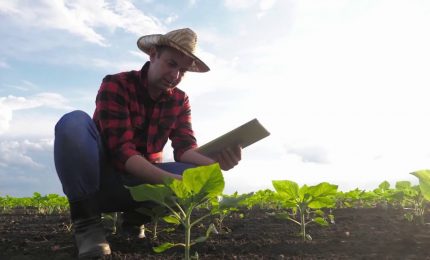 Agroalimentare, Pil in aumento nel terzo trimestre 2022