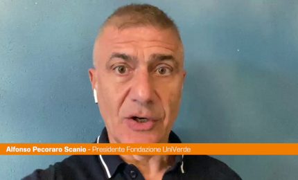 Pecoraro Scanio "Pronti a referendum contro autonomia differenziata"