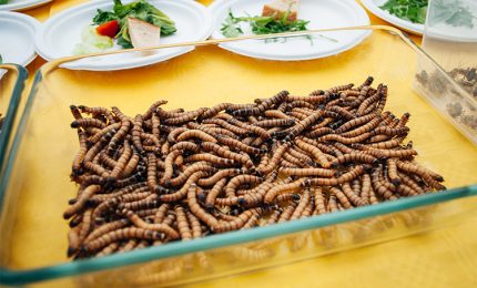 Perché insetti e larve a tavola possono diventare un problema per vegani e vegetariani. Le possibili allergie