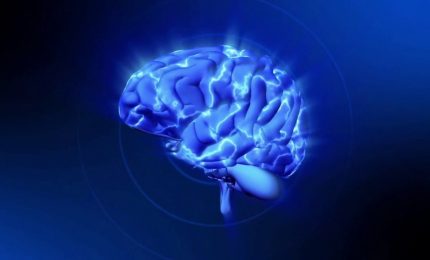 Scoperti i meccanismi cerebrali che causano l'indecisione