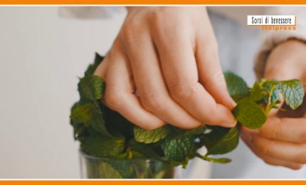 Sorsi di benessere - Timo e menta per una tisana alleata della gola