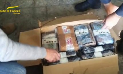180 kg di cocaina nascosti tra le banane. Scatta il maxi sequestro