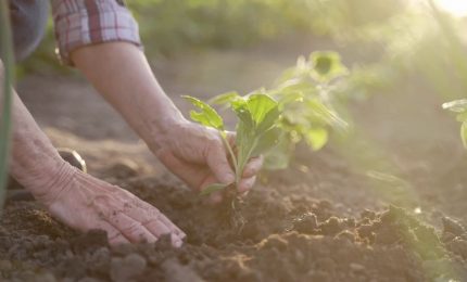 Finanza sostenibile, interesse in calo ma propensione resta alta