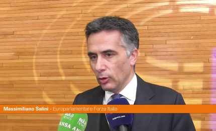 Salini "Buoni i dati, ma senza una forte manifattura Ue cade"