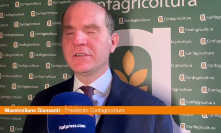 Confagricoltura Giansanti "Impegnati a valorizzare olio di qualit&agrave;"