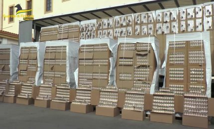 Palermo, cane "finanziere" scopre carico sigarette di contrabbando