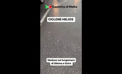 A Malta volano meduse sul lungomare, le immagini sorprendenti