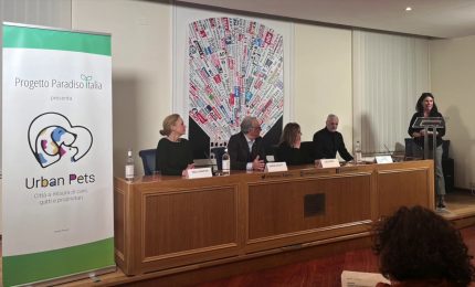 "Urban Pets", ripensare gli spazi cittadini a misura di cani e gatti