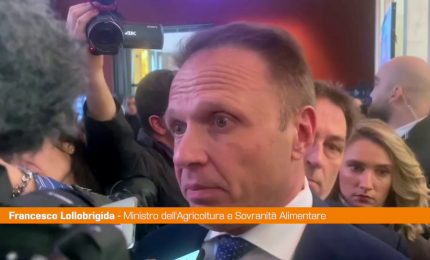 Regionali, Lollobrigida "Il centrodestra cresce"