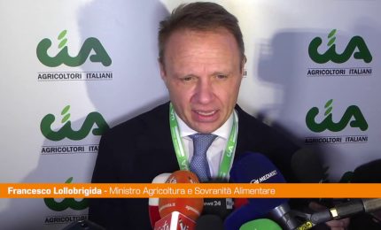 Vino, Lollobrigida "L'etichetta irlandese divide l'Europa"