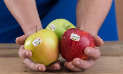 La polemica sull'uso di prodotti chimici nelle coltivazioni di mele in Alto Adige e il silenzio sull'ortofrutta che arriva in Italia dall'estero
