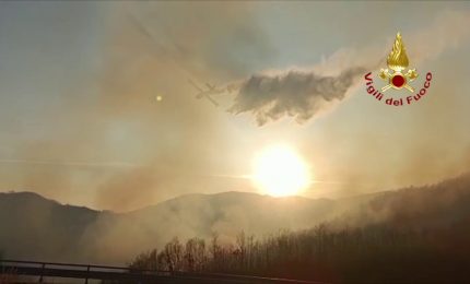 In fiamme un bosco in provincia di Isernia