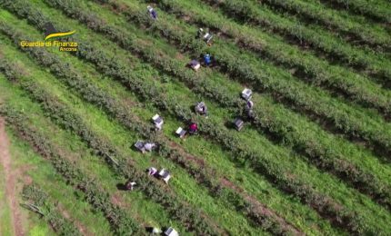 Caporalato, ad Ancona un arresto e dodici denunce