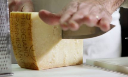 Parmigiano Reggiano torna a "Taste", focus sulle lunghe stagionature