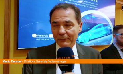 Automotive, Cardoni "Passaggio a elettrico non &egrave; unica via"