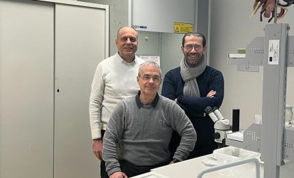 Universit&agrave; Palermo, studio sull&rsquo;ecologia chimica pubblicato su Annual Review of Entomology