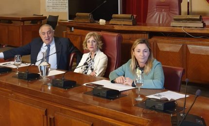 Palermo dichiara guerra alla droga in 4 quartieri, il Comune stanzia 1 milione