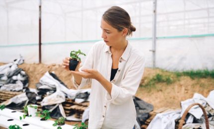 Ue, 37 miliardi in 5 anni per la nuova Pac