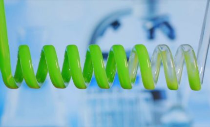 Auto, il futuro non &egrave; solo elettrico