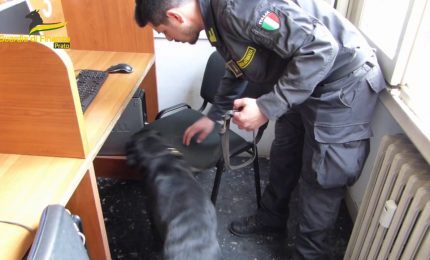 Prato, bisca clandestina in un circolo culturale