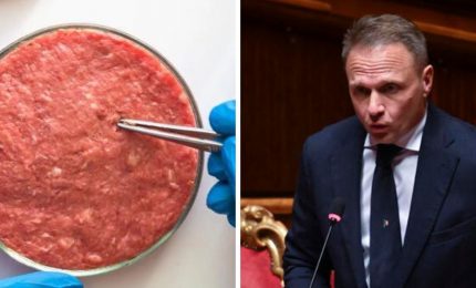 Il Governo Meloni vieta la produzione di carne sintetica che però potrà essere importata se la Ue la legalizzerà...