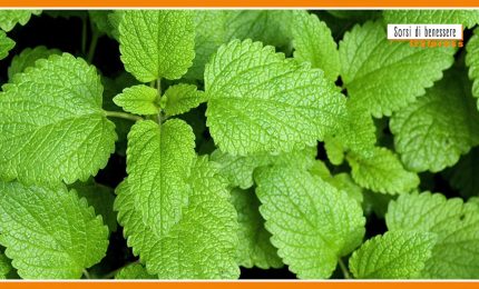 Sorsi di benessere - Una tisana rilassante che favorisce il sonno