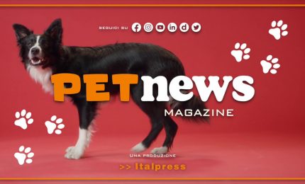 PetNews Magazine - 4/4/2023