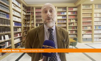 Inail, Anmi &ldquo;Situazione critica, scioperiamo per attirare attenzione&rdquo;