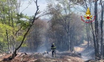 Vigili del fuoco impegnati in due incendi boschivi in Piemonte