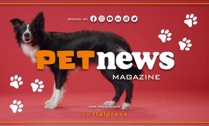 PetNews Magazine - 18/4/2023