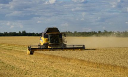 La Ue ha stanziato 100 milioni di euro per i produttori di grano di cinque Paesi dell'Est europeo. E l'Italia?/ MATTINALE 904