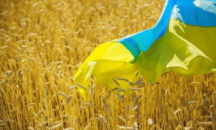 Unione europea: grano ucraino a dazio zero fino al 2024. E' per questo che il prezzo del duro è precipitato?
