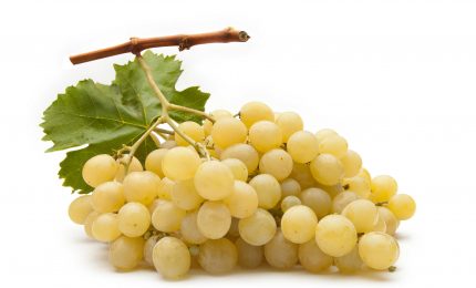 Dichiarato lo stato di crisi per l'uva da tavola Igp di Canicattì e Mazzarrone