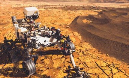 Trovate le tracce di vita su Marte: fossili di spugne, coralli, alghe, funghi, licheni, gamberi, granchi e di altro ancora