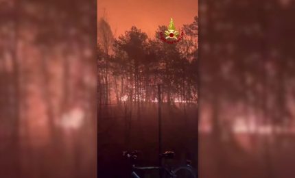 Lombardia, incendio al Parco delle Groane domato dai Vigili del Fuoco