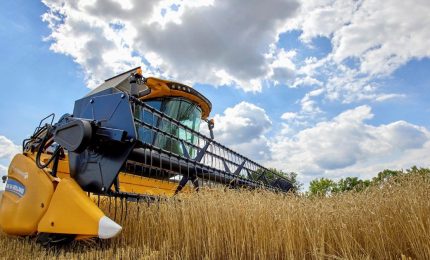 Dietro il grano ucraino che arriva in Europa (compresa l'Italia) i grandi affari di governanti corrotti e delle multinazionali Monsanto, Cargill e DuPont