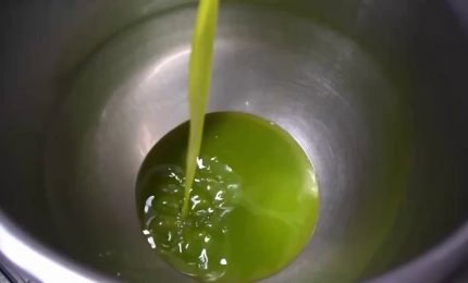 Agroalimentare, cresce il Pil nel quarto trimestre 2022